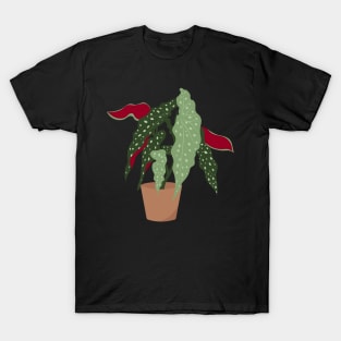 Begonia maculata plant in a pot T-Shirt